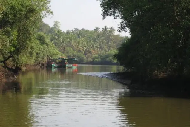 Chorao Island, Goa - Best Places To Visit In India (1)