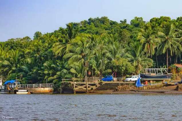 Chorao Island, Goa - Best Places To Visit In India (1)